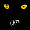 Cats at the Paramount Theatre, Seattle