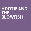 Hootie and the Blowfish, White River Amphitheatre, Seattle