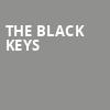 The Black Keys, Climate Pledge Arena, Seattle