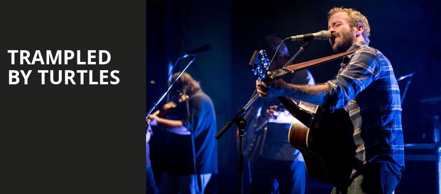 Trampled by Turtles, Chateau St Michelle, Seattle