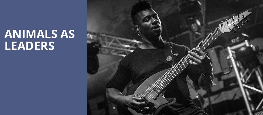 Animals As Leaders, Showbox Theater, Seattle