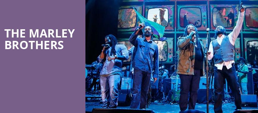 The Marley Brothers, White River Amphitheatre, Seattle