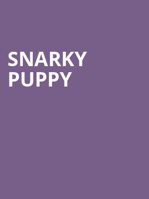 Snarky Puppy, Moore Theatre, Seattle