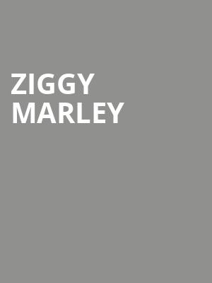 Ziggy Marley, Chateau St Michelle, Seattle