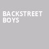 Backstreet Boys, White River Amphitheatre, Seattle