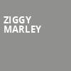 Ziggy Marley, Chateau St Michelle, Seattle
