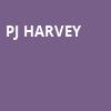 PJ Harvey, Paramount Theatre, Seattle