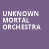 Unknown Mortal Orchestra, Moore Theatre, Seattle