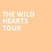 The Wild Hearts Tour, Marymoor Amphitheatre, Seattle
